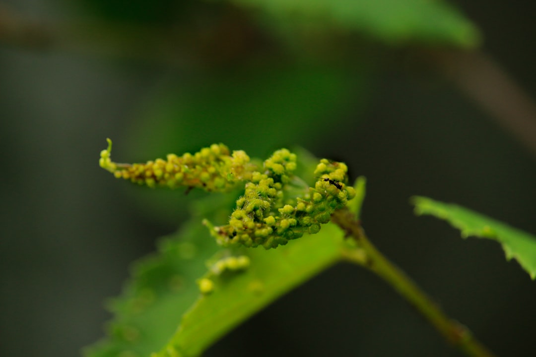 <a href="https://oldehermitage.neighborhood.online/about/resources">Resources</a> baa06d75-7b49-48c1-99fa-0e1c6105c9f6.jpg